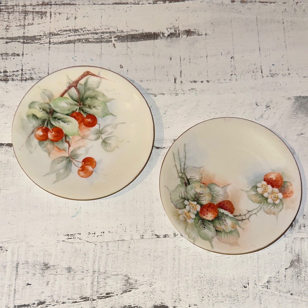 Vintage Bavarian Hand-painted Fruit Plates